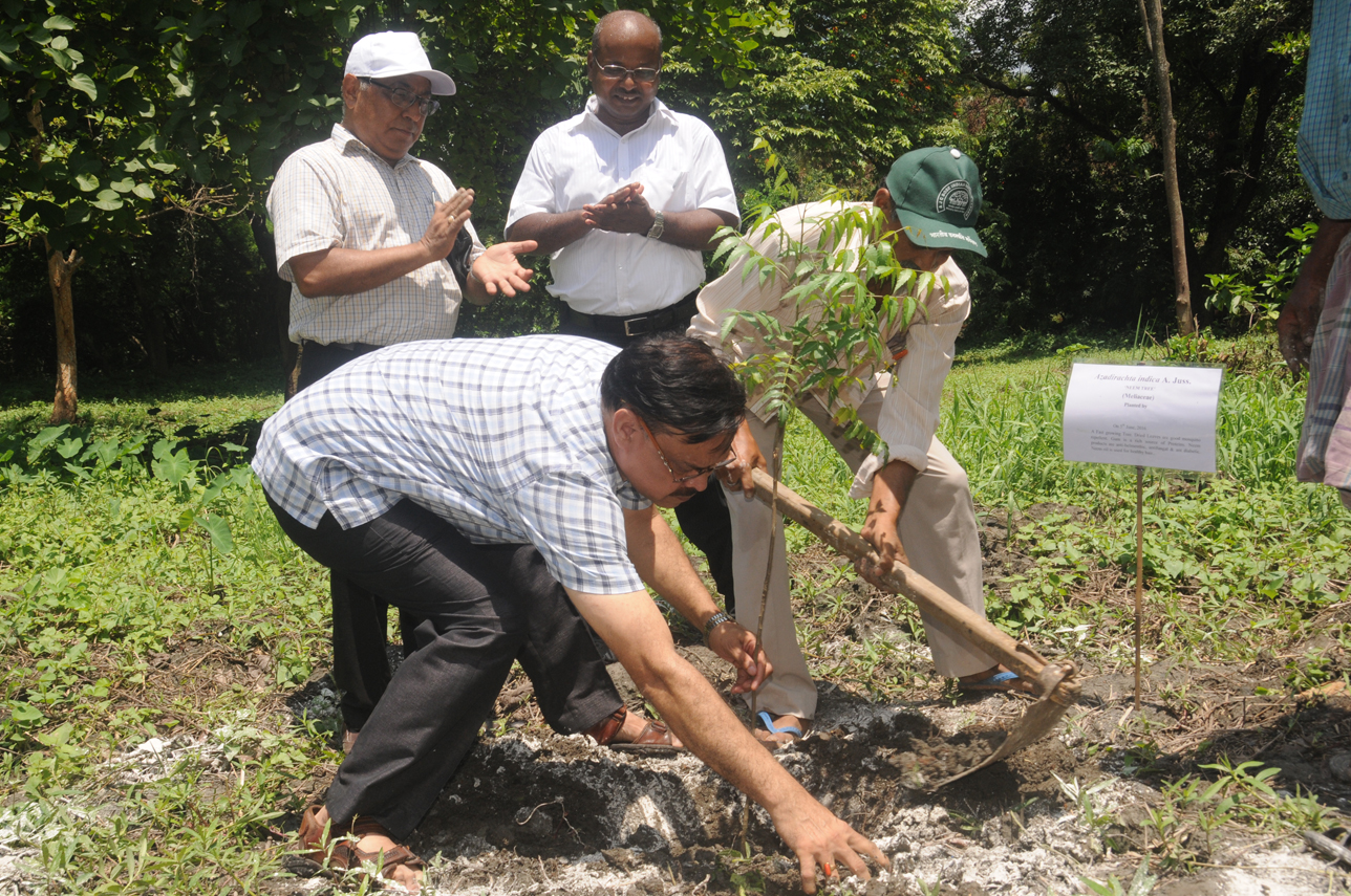 Plantation by Dr. B.K. Sinha, Scientist 